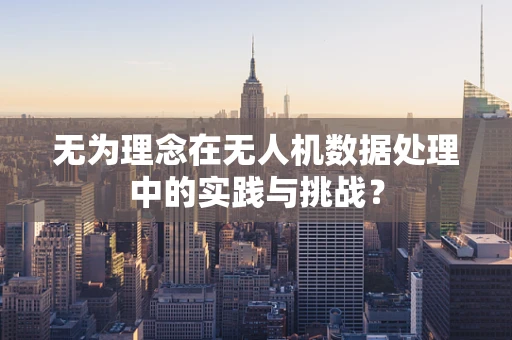 无为理念在无人机数据处理中的实践与挑战？