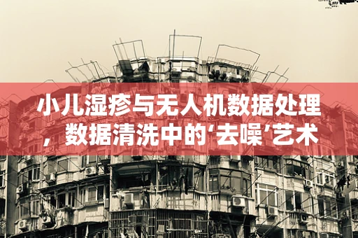 小儿湿疹与无人机数据处理，数据清洗中的‘去噪’艺术