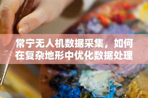 常宁无人机数据采集，如何在复杂地形中优化数据处理流程？