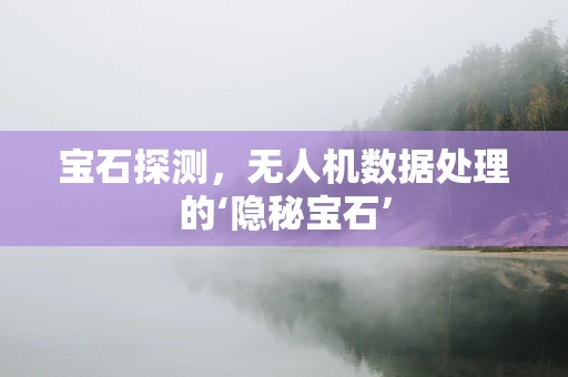 宝石探测，无人机数据处理的‘隐秘宝石’