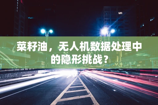 菜籽油，无人机数据处理中的隐形挑战？