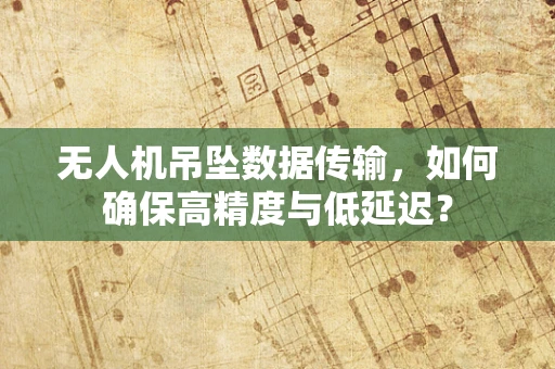 无人机吊坠数据传输，如何确保高精度与低延迟？
