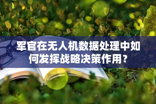 军官在无人机数据处理中如何发挥战略决策作用？