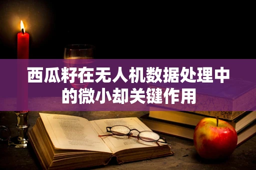 西瓜籽在无人机数据处理中的微小却关键作用