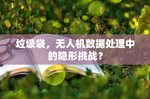 垃圾袋，无人机数据处理中的隐形挑战？