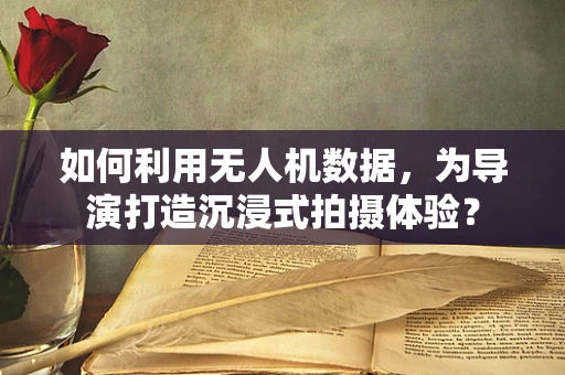 如何利用无人机数据，为导演打造沉浸式拍摄体验？