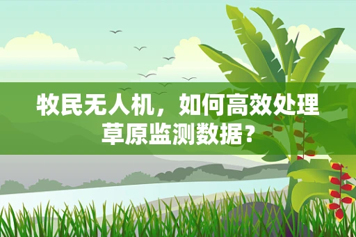 牧民无人机，如何高效处理草原监测数据？