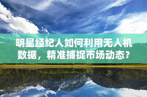 明星经纪人如何利用无人机数据，精准捕捉市场动态？