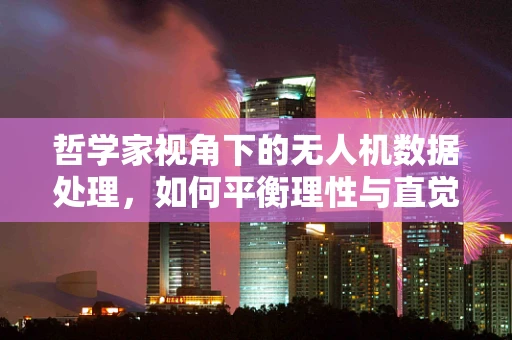 哲学家视角下的无人机数据处理，如何平衡理性与直觉？