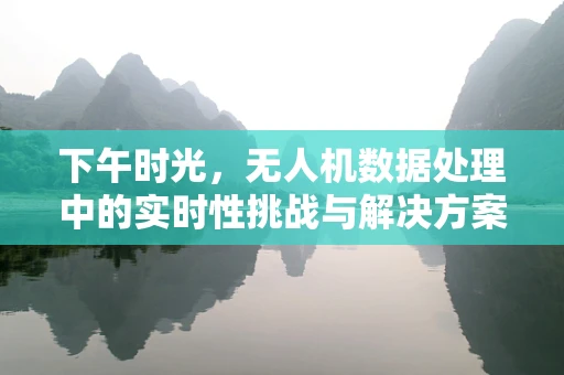 下午时光，无人机数据处理中的实时性挑战与解决方案