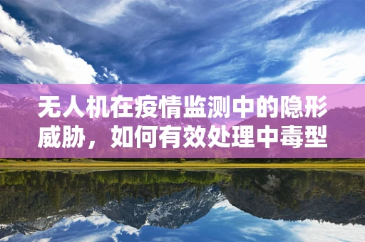 无人机在疫情监测中的隐形威胁，如何有效处理中毒型细菌性痢疾的空中数据？