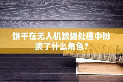 饼干在无人机数据处理中扮演了什么角色？