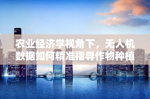 农业经济学视角下，无人机数据如何精准指导作物种植决策？