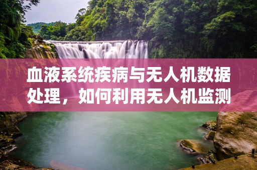 血液系统疾病与无人机数据处理，如何利用无人机监测的空气质量数据预防？