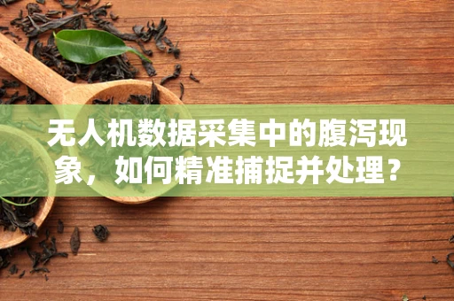 无人机数据采集中的腹泻现象，如何精准捕捉并处理？