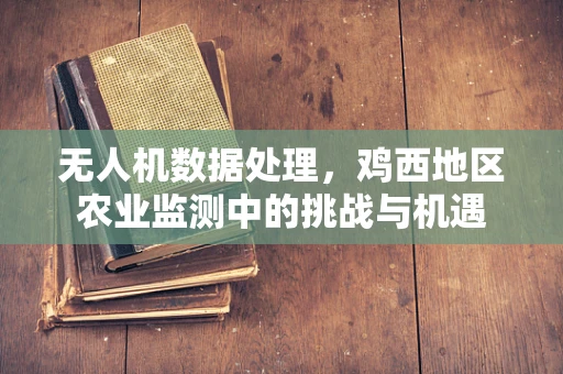 无人机数据处理，鸡西地区农业监测中的挑战与机遇