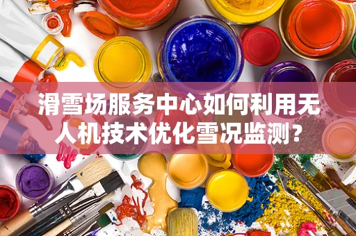 滑雪场服务中心如何利用无人机技术优化雪况监测？