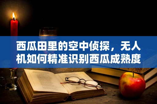 西瓜田里的空中侦探，无人机如何精准识别西瓜成熟度？