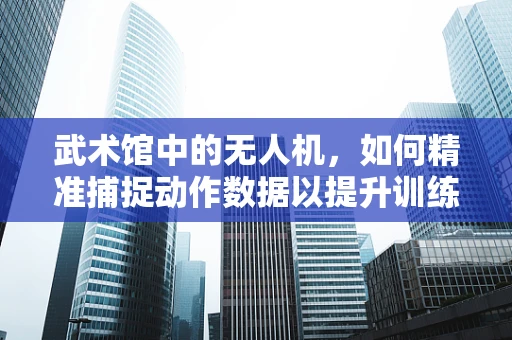 武术馆中的无人机，如何精准捕捉动作数据以提升训练效率？