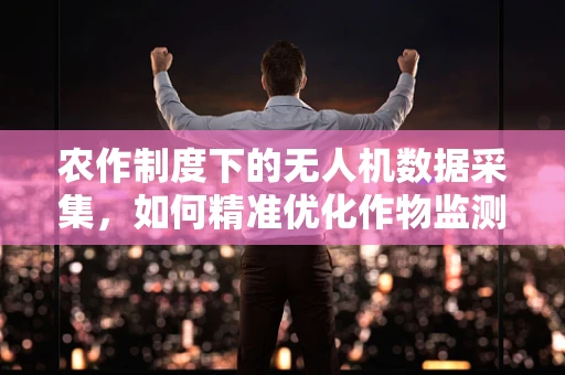 农作制度下的无人机数据采集，如何精准优化作物监测？