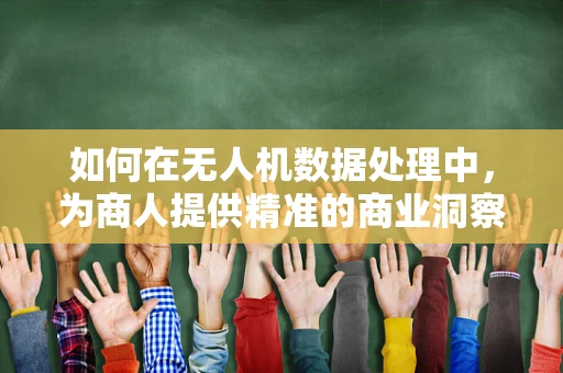 如何在无人机数据处理中，为商人提供精准的商业洞察？