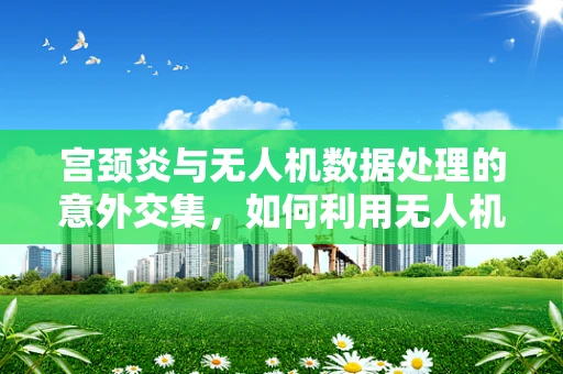 宫颈炎与无人机数据处理的意外交集，如何利用无人机进行疾病监测的精准度提升？