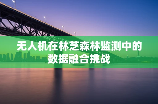 无人机在林芝森林监测中的数据融合挑战