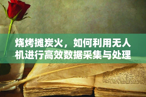 烧烤摊炭火，如何利用无人机进行高效数据采集与处理？