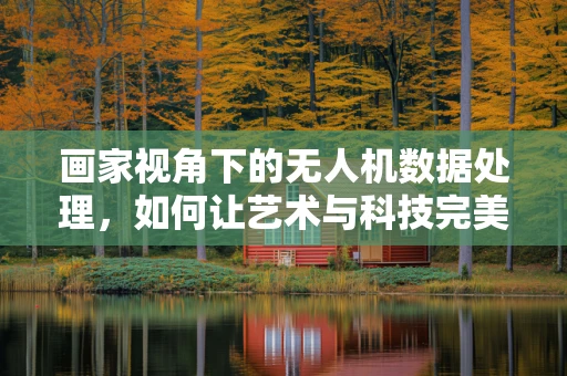 画家视角下的无人机数据处理，如何让艺术与科技完美融合？