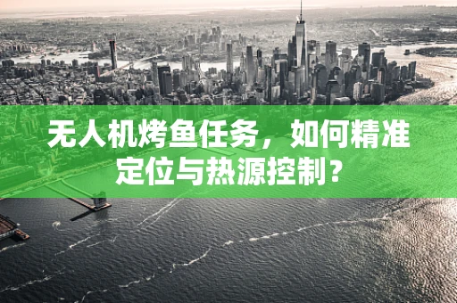 无人机烤鱼任务，如何精准定位与热源控制？