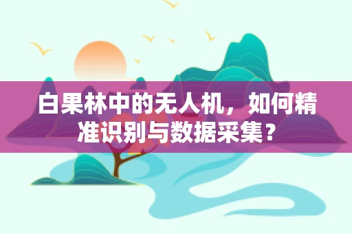 白果林中的无人机，如何精准识别与数据采集？