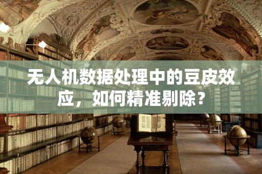 无人机数据处理中的豆皮效应，如何精准剔除？