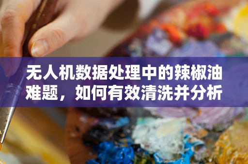 无人机数据处理中的辣椒油难题，如何有效清洗并分析受污染数据？