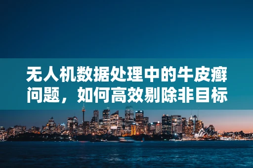 无人机数据处理中的牛皮癣问题，如何高效剔除非目标数据？