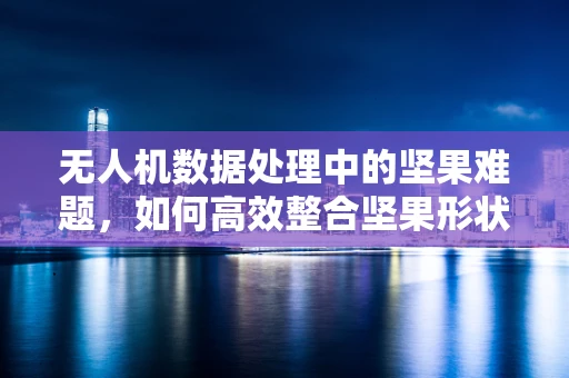 无人机数据处理中的坚果难题，如何高效整合坚果形状数据？