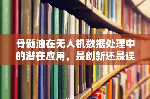 骨髓油在无人机数据处理中的潜在应用，是创新还是误区？