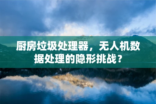 厨房垃圾处理器，无人机数据处理的隐形挑战？