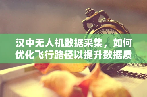 汉中无人机数据采集，如何优化飞行路径以提升数据质量？