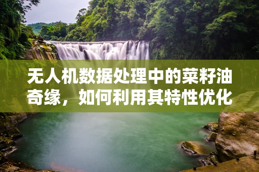 无人机数据处理中的菜籽油奇缘，如何利用其特性优化飞行性能？