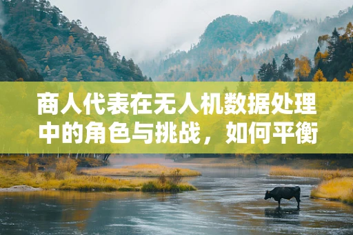 商人代表在无人机数据处理中的角色与挑战，如何平衡商业利益与数据安全？