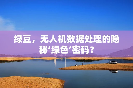 绿豆，无人机数据处理的隐秘‘绿色’密码？