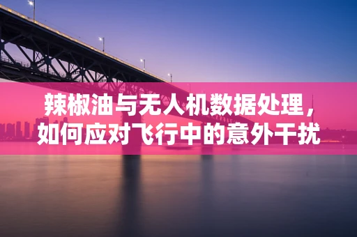 辣椒油与无人机数据处理，如何应对飞行中的意外干扰？