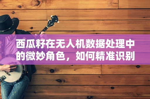 西瓜籽在无人机数据处理中的微妙角色，如何精准识别与利用？