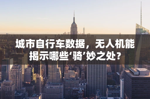 城市自行车数据，无人机能揭示哪些‘骑’妙之处？