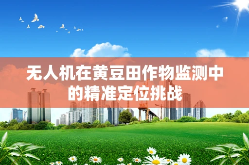 无人机在黄豆田作物监测中的精准定位挑战