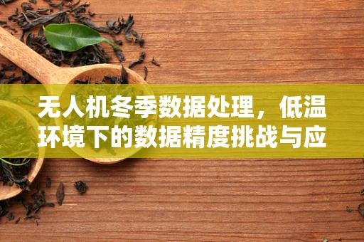无人机冬季数据处理，低温环境下的数据精度挑战与应对策略？