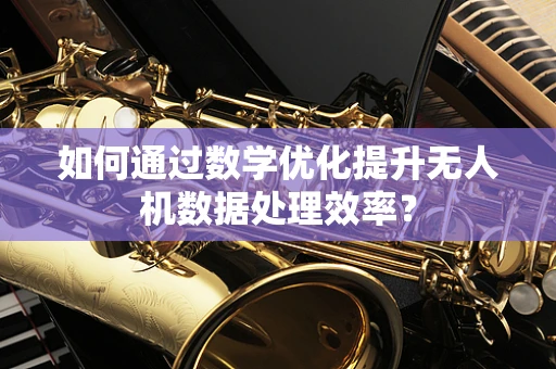 如何通过数学优化提升无人机数据处理效率？