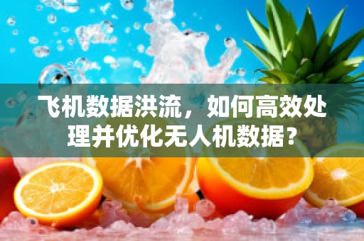 飞机数据洪流，如何高效处理并优化无人机数据？