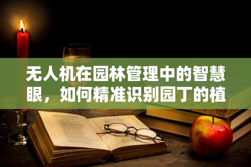 无人机在园林管理中的智慧眼，如何精准识别园丁的植物养护需求？