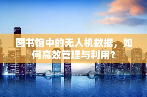 图书馆中的无人机数据，如何高效管理与利用？